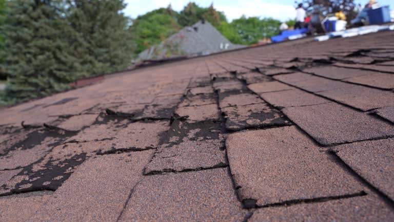 Best Rubber Roofing (EPDM, TPO)  in Ridgecrest, FL